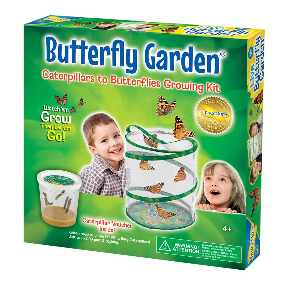 Butterfly Garden with LIVE Caterpillars