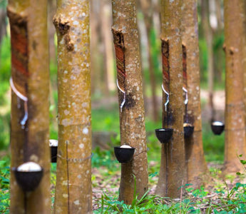 Why Do Wooden Toys Cost A Little More?🌳