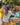 Physical & Outdoor Play