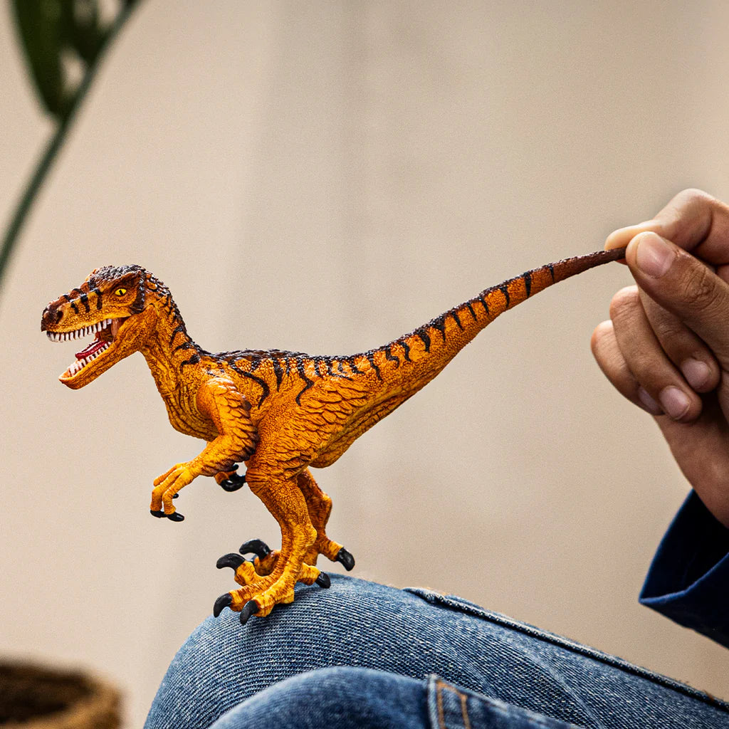 Velociraptor - Dinosaur