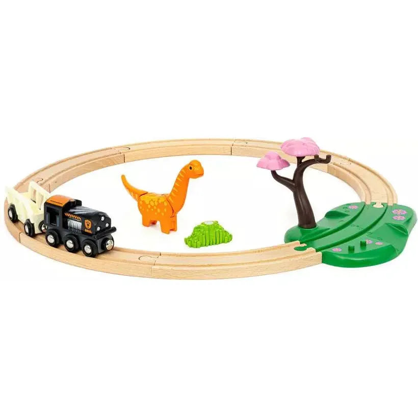 Dinosaur Circle Set