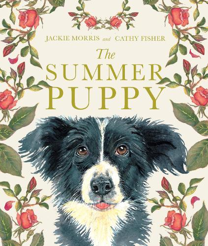 The Summer Puppy - Jackie Morris- Signed Copy✨
