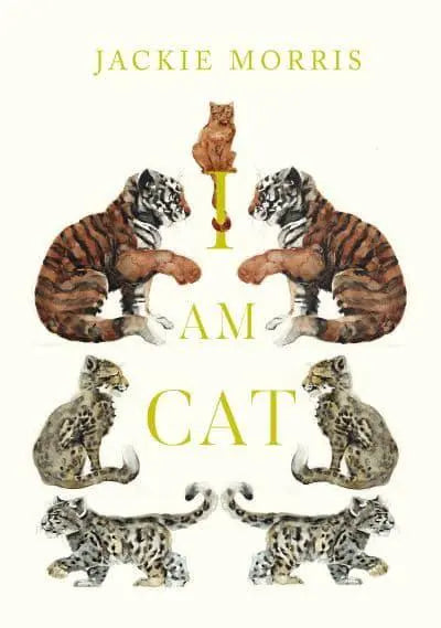 I Am Cat - Jackie Morris - Signed Copy✨