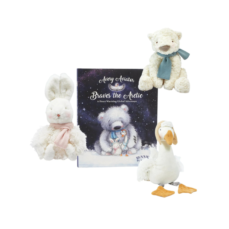 Avery Aviators Braves The Arctic - Hardback Book