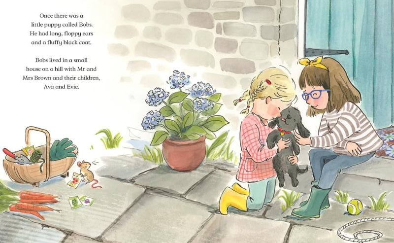 Pixie's New Friend - Enid Blyton