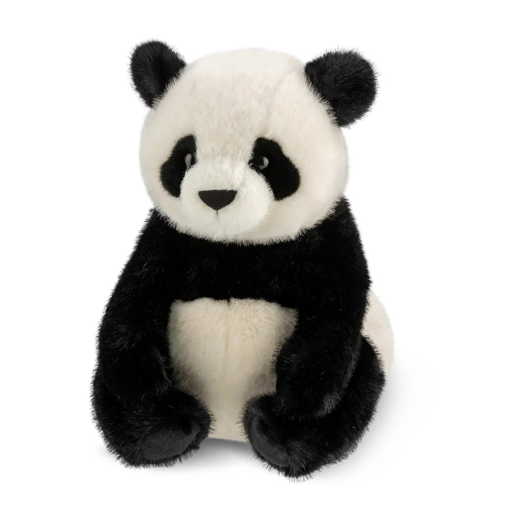 Hui Ying Panda