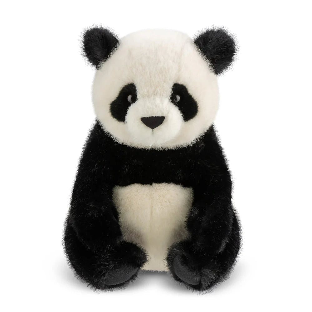 Hui Ying Panda