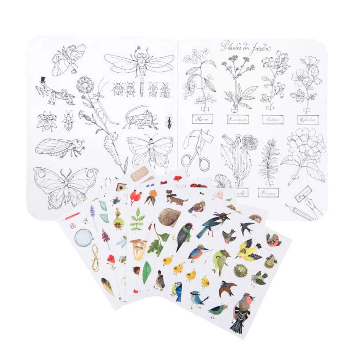 Botanist Coloring Sticker Book