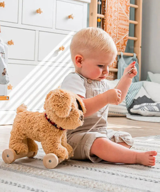 Dexter - Pull Along Dog