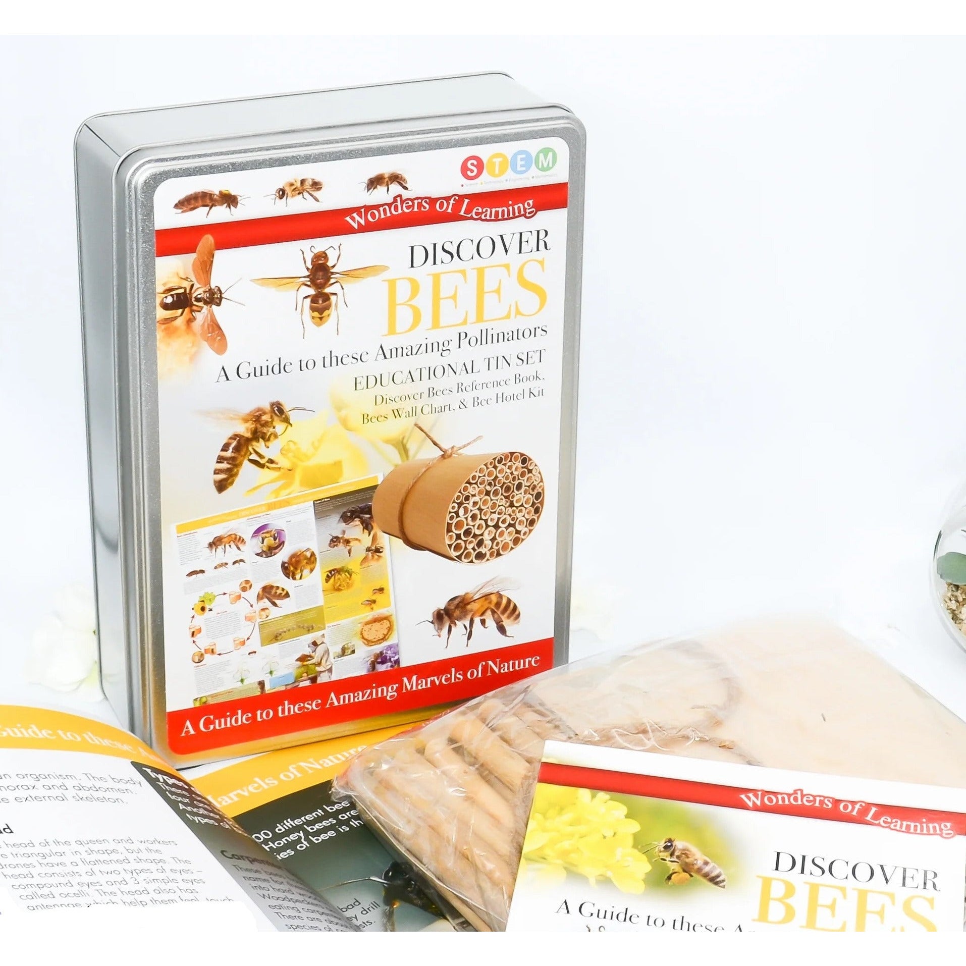 Tin Set - Discover Bees