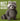 Jellycat - Trixiwoo Raccoon