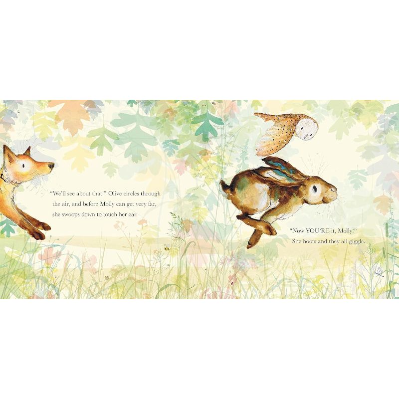 Molly, Olive & Dexter - You Can't Catch Me! Catherine Rayner