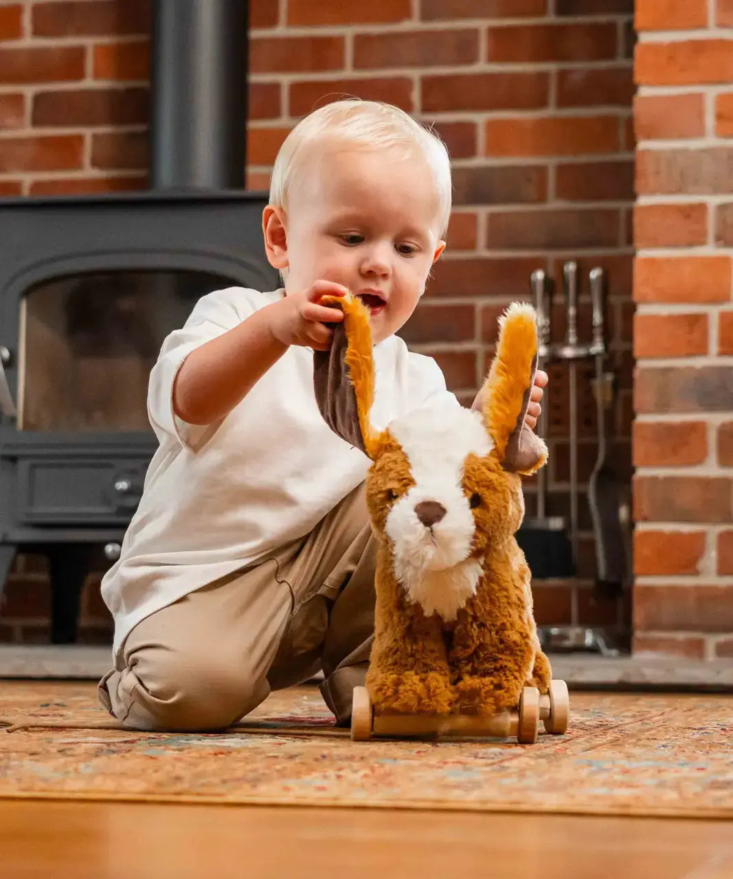 Peanut - Pull Along Dog