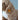 Berno Soft Dog - Goldendoodle