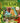 What Can You See? - Dinosaurs - Board Book