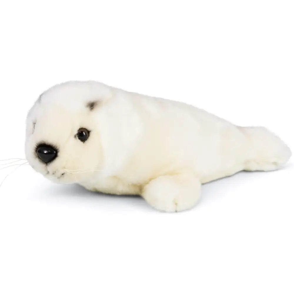 Grey Seal Pup