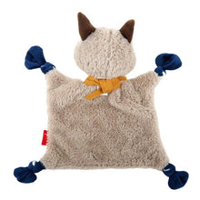 Load image into Gallery viewer, Baby Raccoon Comforter

