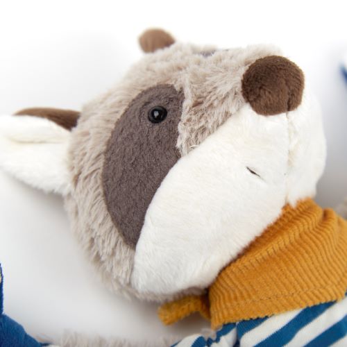 Baby Raccoon Comforter