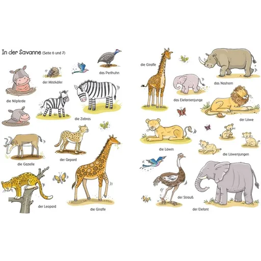 Big Sticker Book Of Animals