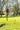 Stomp Rocket - 3 Pack