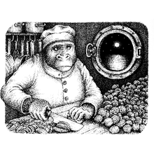 Load image into Gallery viewer, The Murderers Ape- Jakob Wegelius
