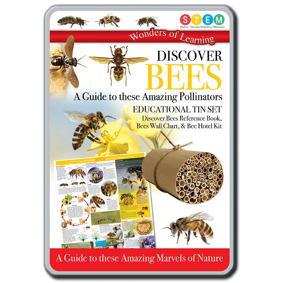 Tin Set - Discover Bees