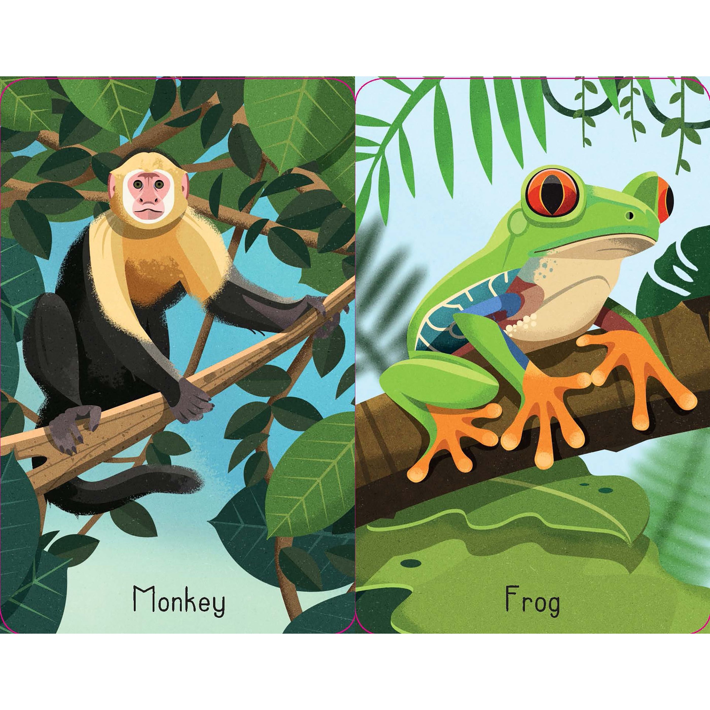 Jungle Snap Cards