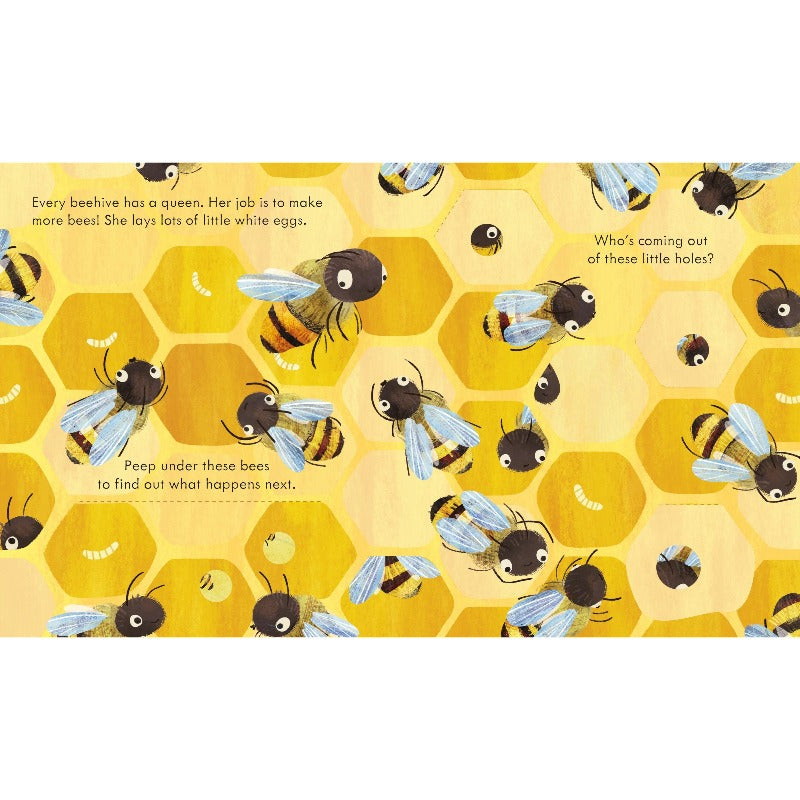 Peep Inside A Beehive