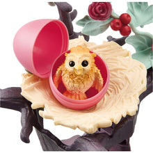 Load image into Gallery viewer, Hatching Owl Chicks
