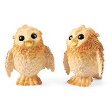 Load image into Gallery viewer, Hatching Owl Chicks

