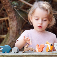 Load image into Gallery viewer, 8 Woodland Animals &amp; Shelf
