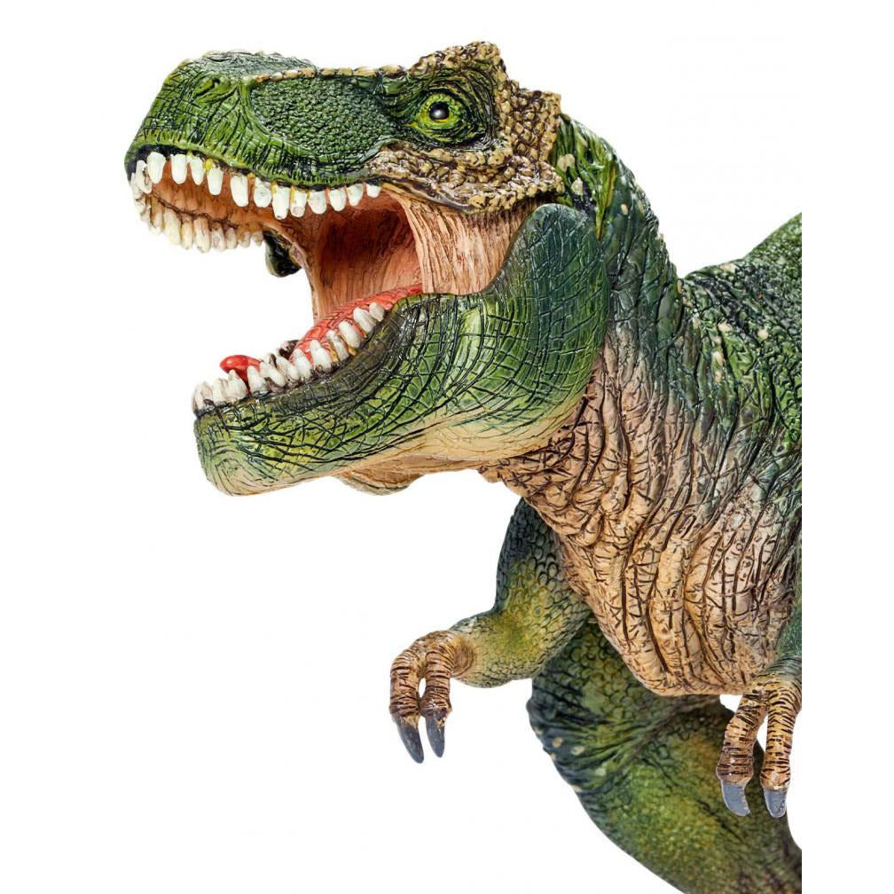 Tyrannosaurus Rex.